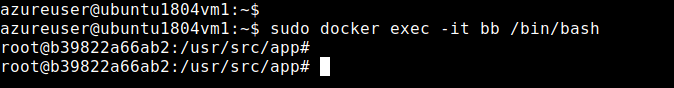 connect-container-using-docker-exec-command