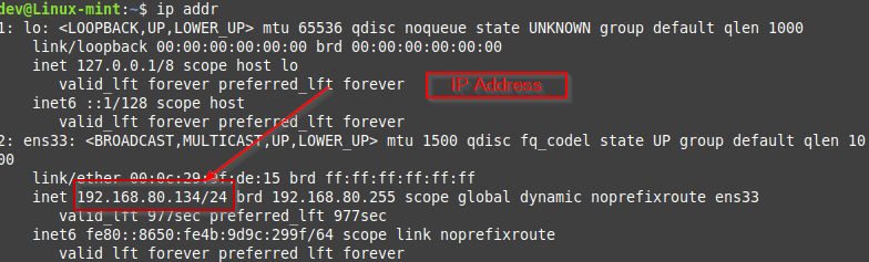 check Ip address Linux mint