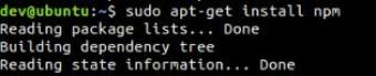 How-to-install-npm-in-ubuntu-20.04