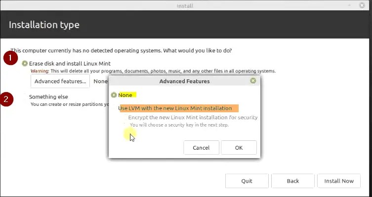 Linux mint 20.01 installation types 1