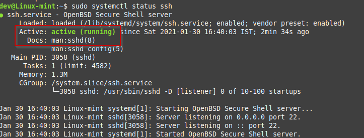 check service status linux mint