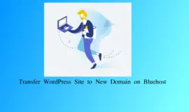 How to Transfer WordPress site to new domain on Bluehost effortlessly (Update 2023)