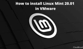 How to install Linux Mint 20.01 in VMware Workstation 16 {Easy way}