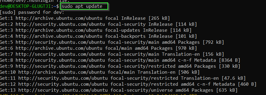 Update Ubuntu using sudo apt update command