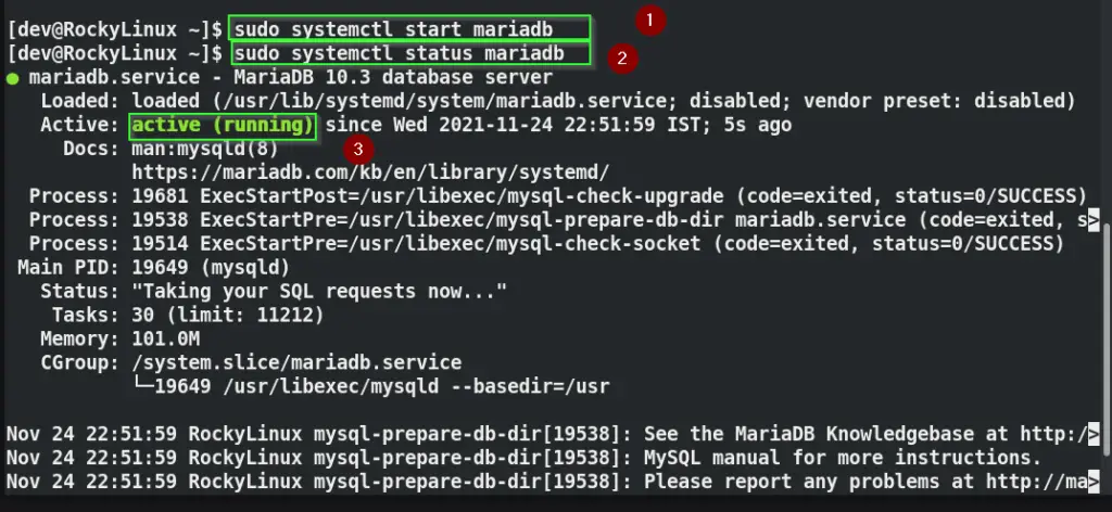 restart MariaDB service and check status