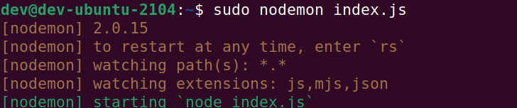 run server with nodemon command 