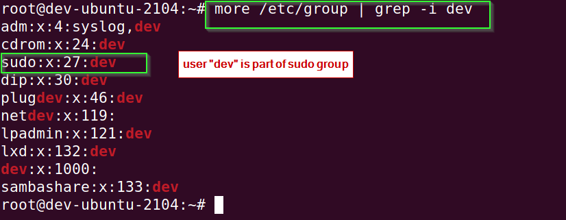 check user has been added to sudo group