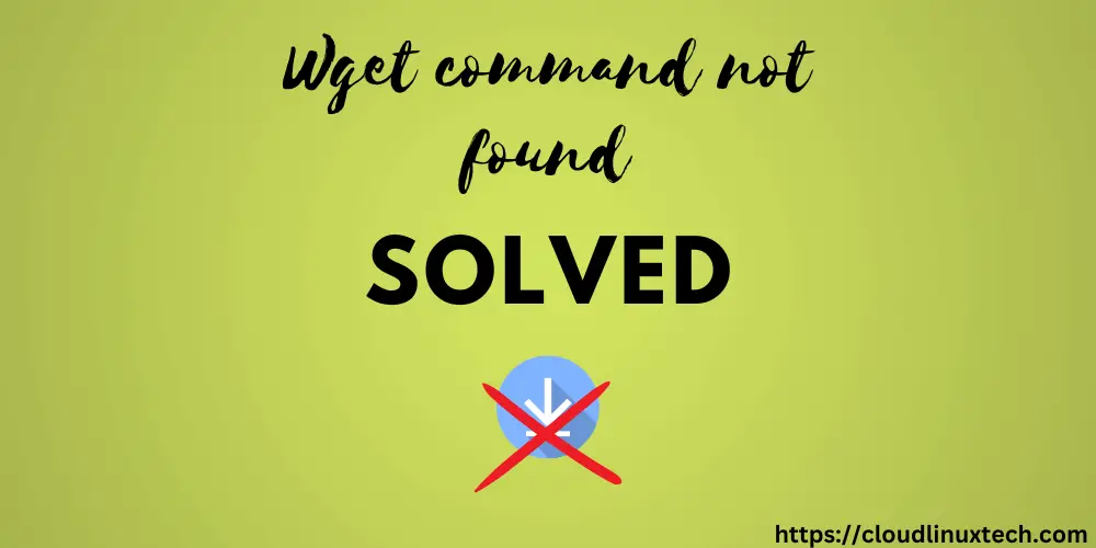 bash wget command not found